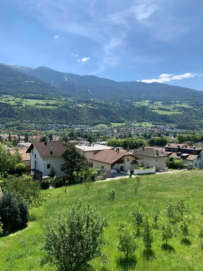 Castell Matscher بريسّانوني المظهر الخارجي الصورة